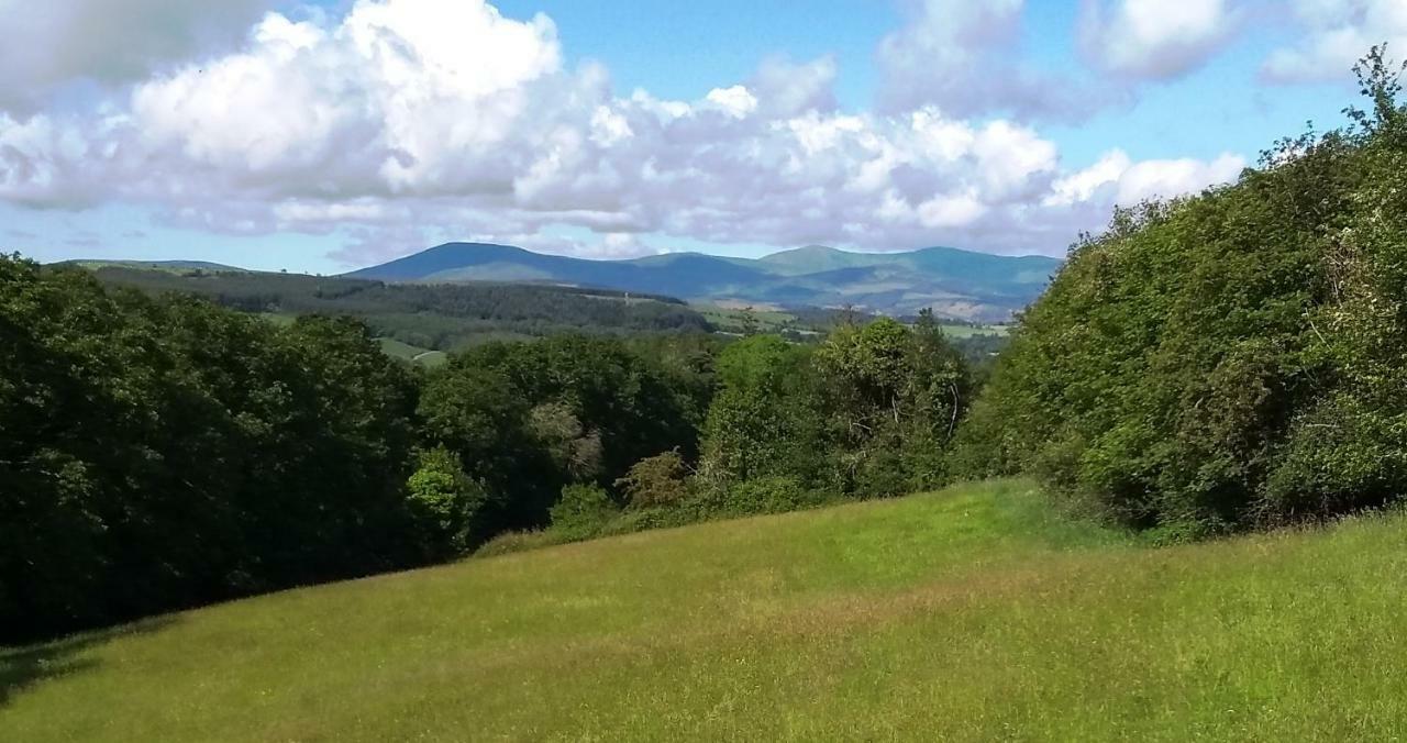 Nire Valley Eco Camp *