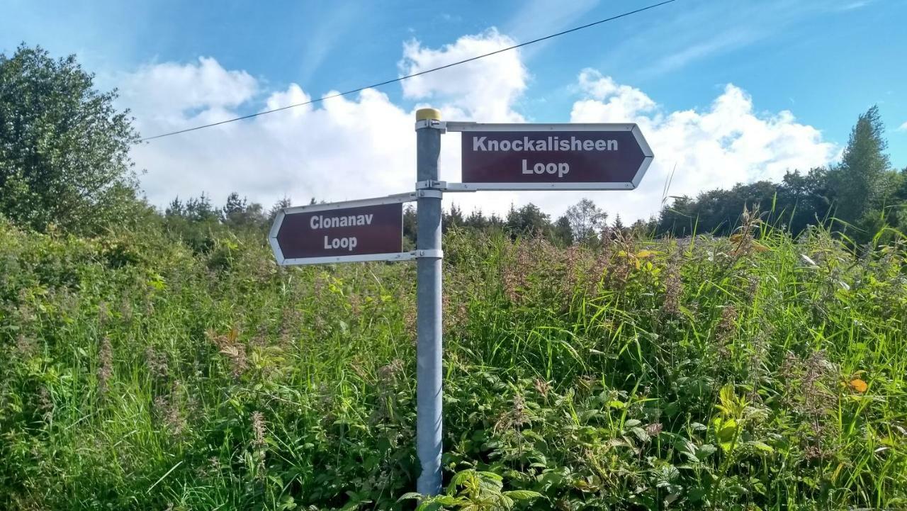 Nire Valley Eco Camp Campsite