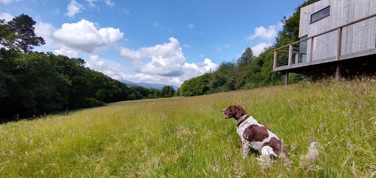 Nire Valley Eco Camp *